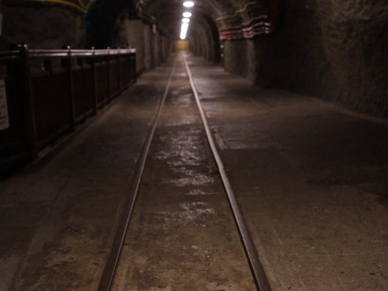 Leather Art Weekend 2025